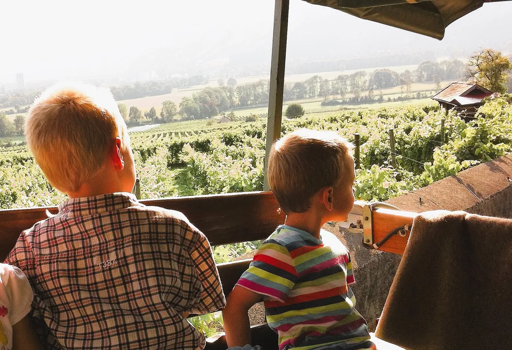 Zwei kleine Jungen, 7 und 4 Jahre alt, auf einer Kutschenfahrt